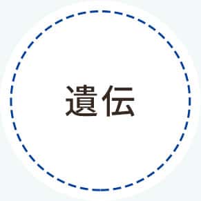 遺伝